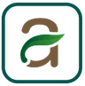 header text